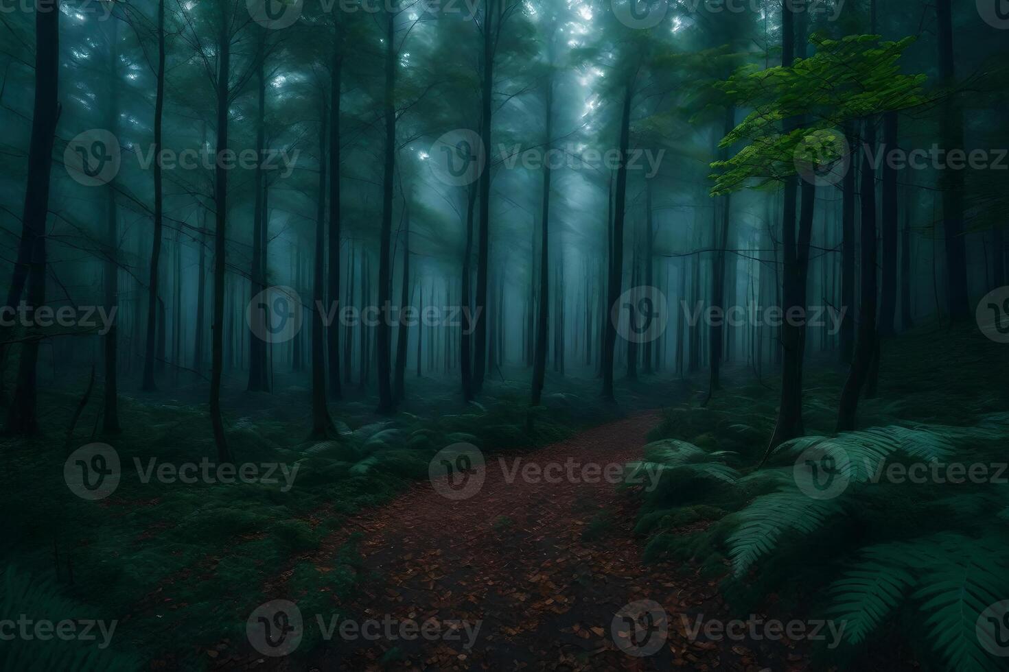 A path through a dark forest with ferns and trees photo