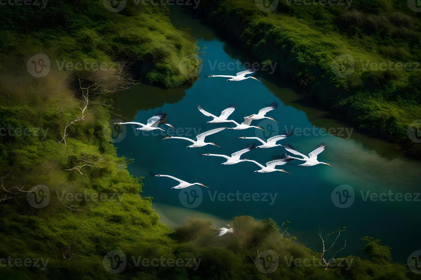 A flock of birds flying over a river photo