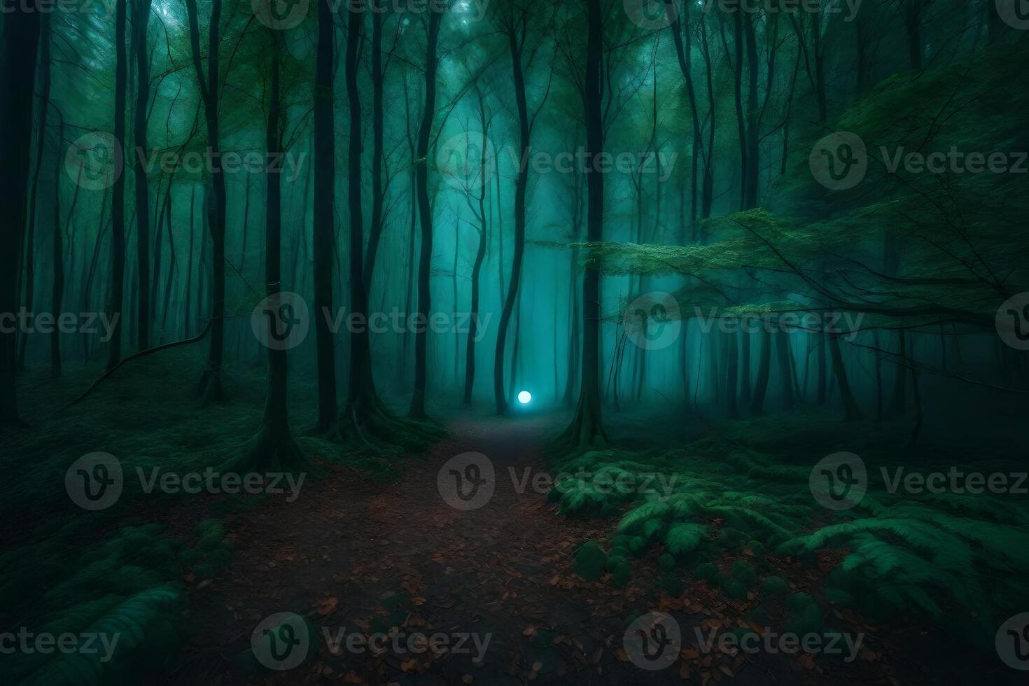 A path through a dark forest with a light shining through the trees photo