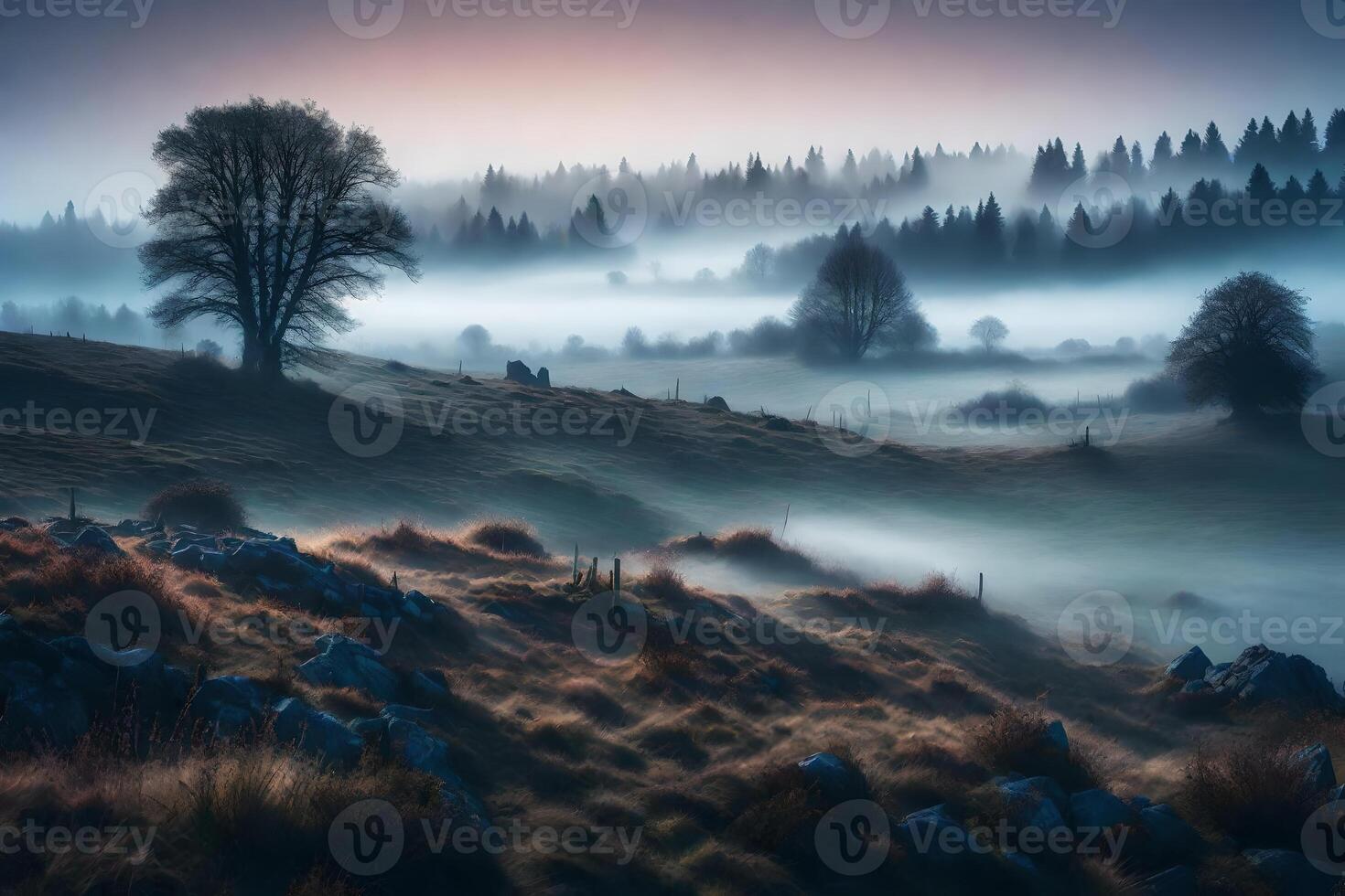 A foggy landscape with trees and rocks photo