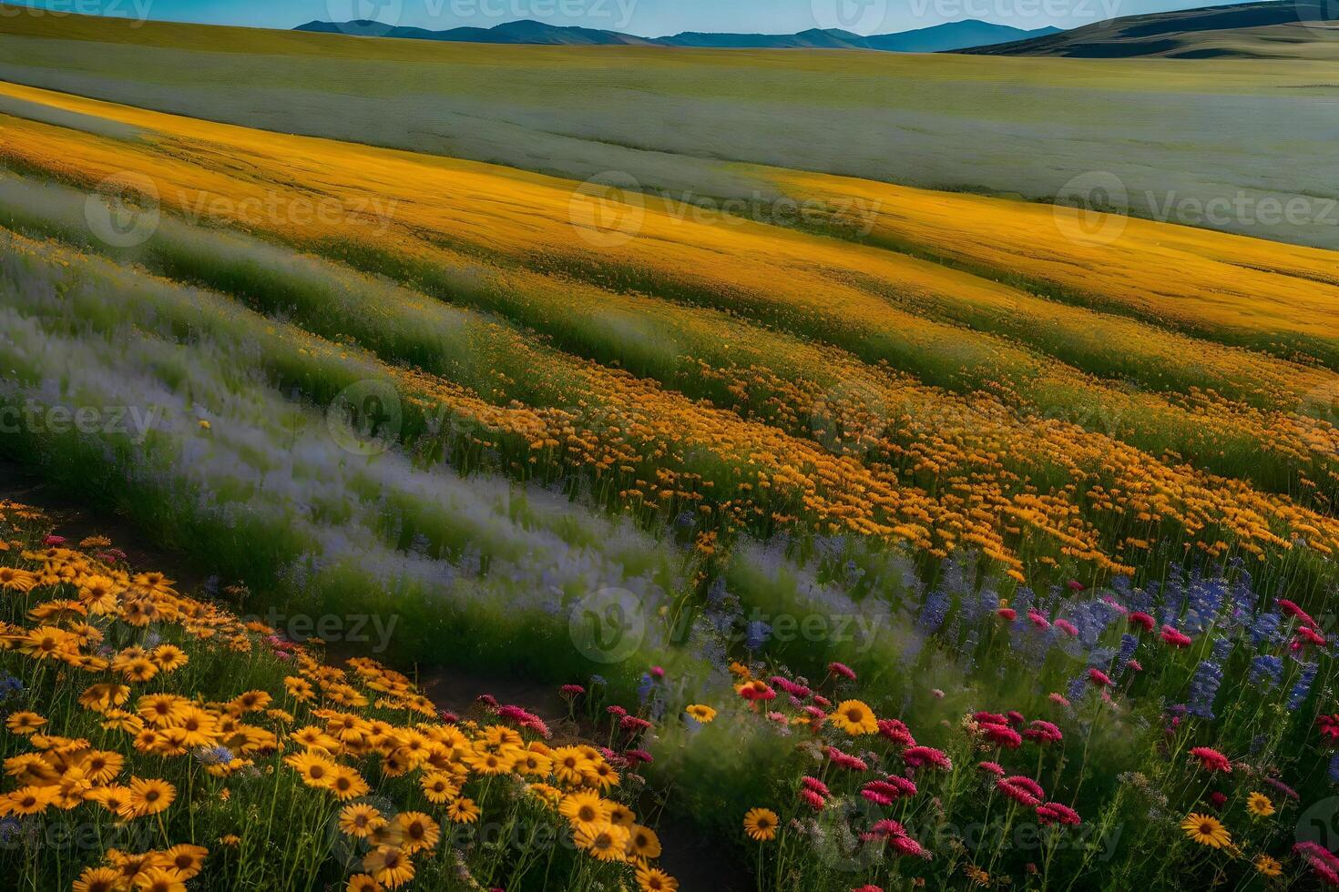 A field of wildflowers with mountains in the background photo