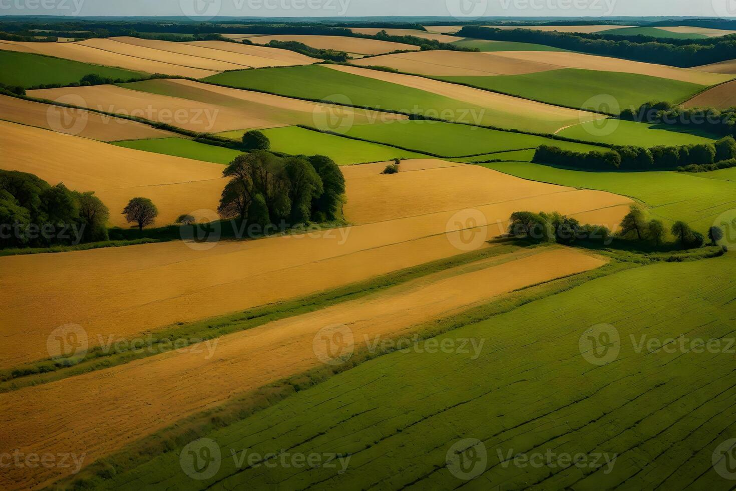 An aerial view of a field with trees and fields photo