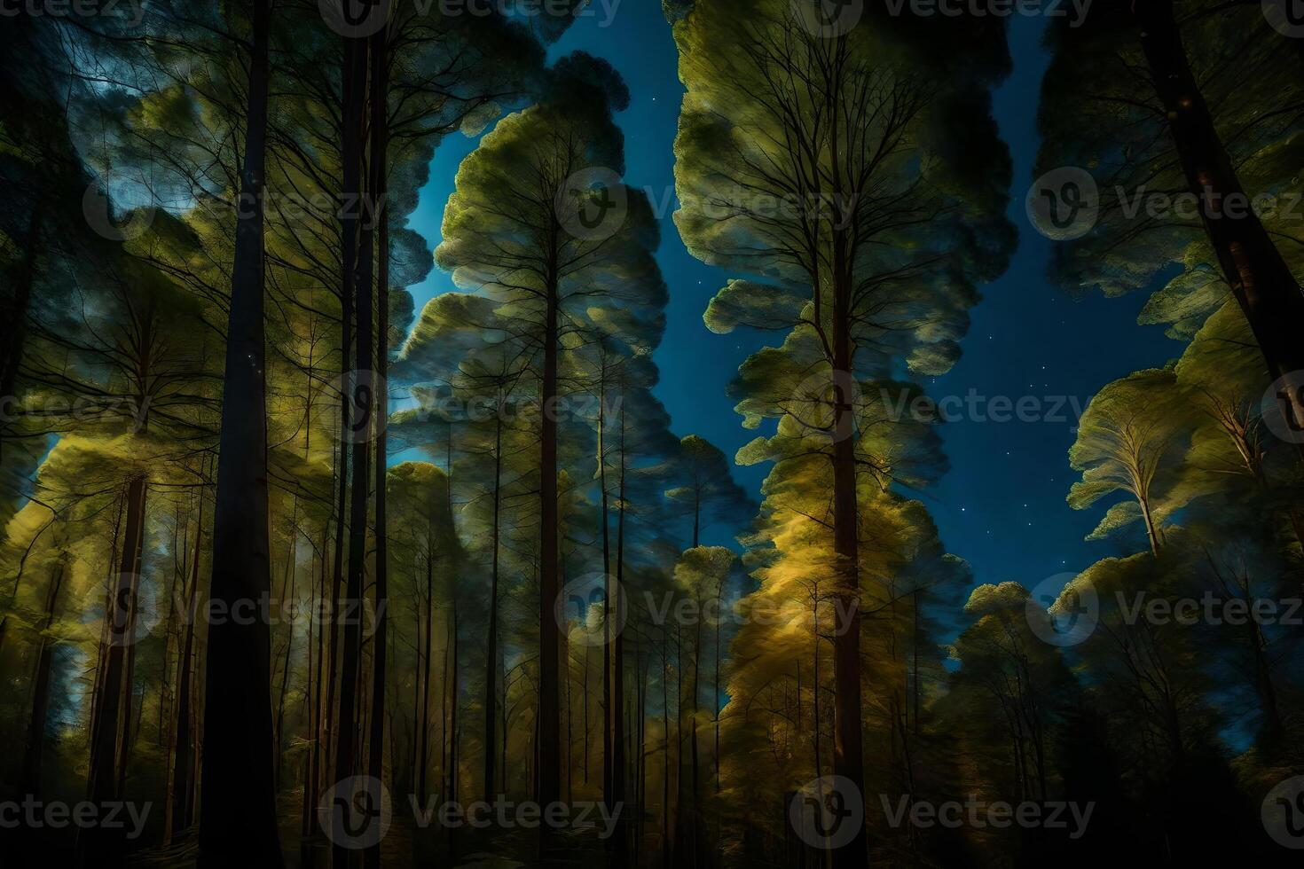 A forest at night with trees and stars photo