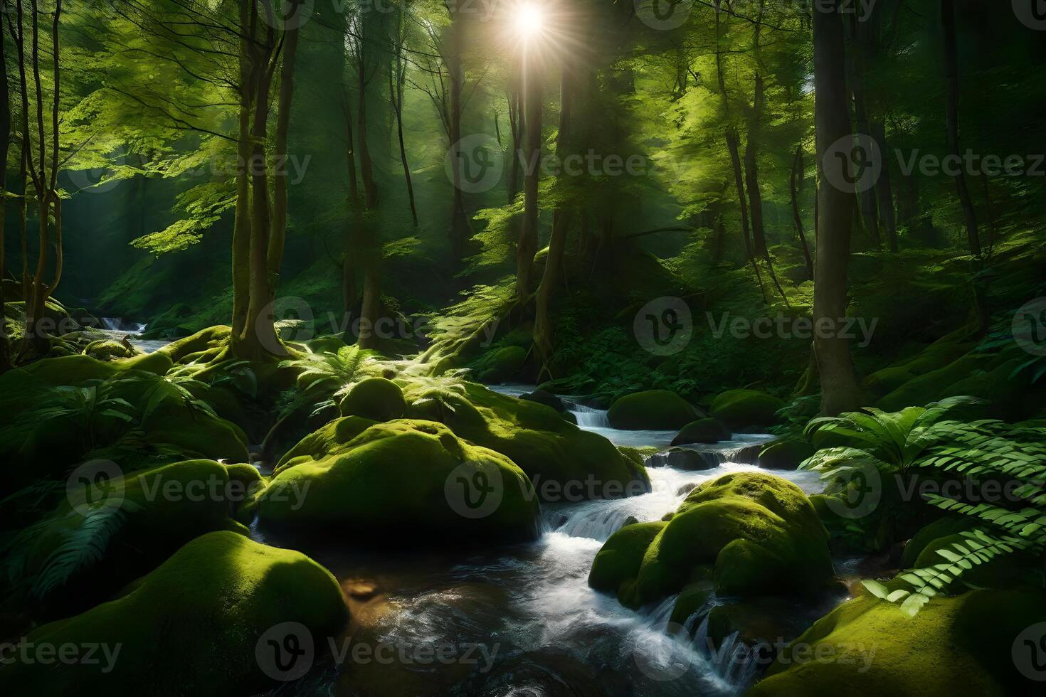 A stream runs through a forest with green moss photo