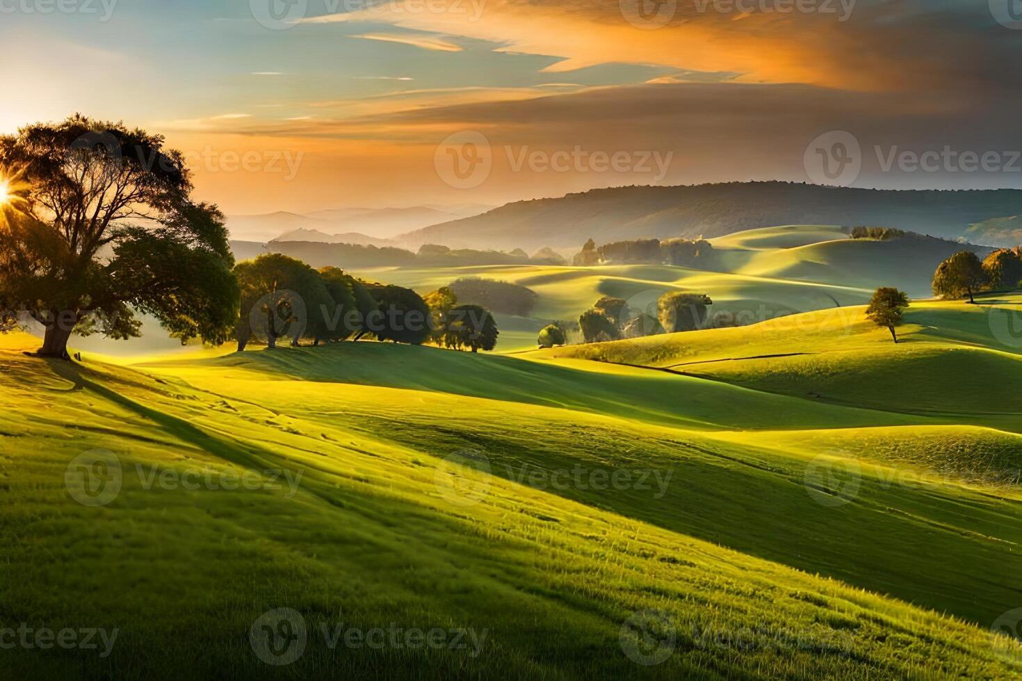 Beautiful landscape with trees and grass at sunset photo