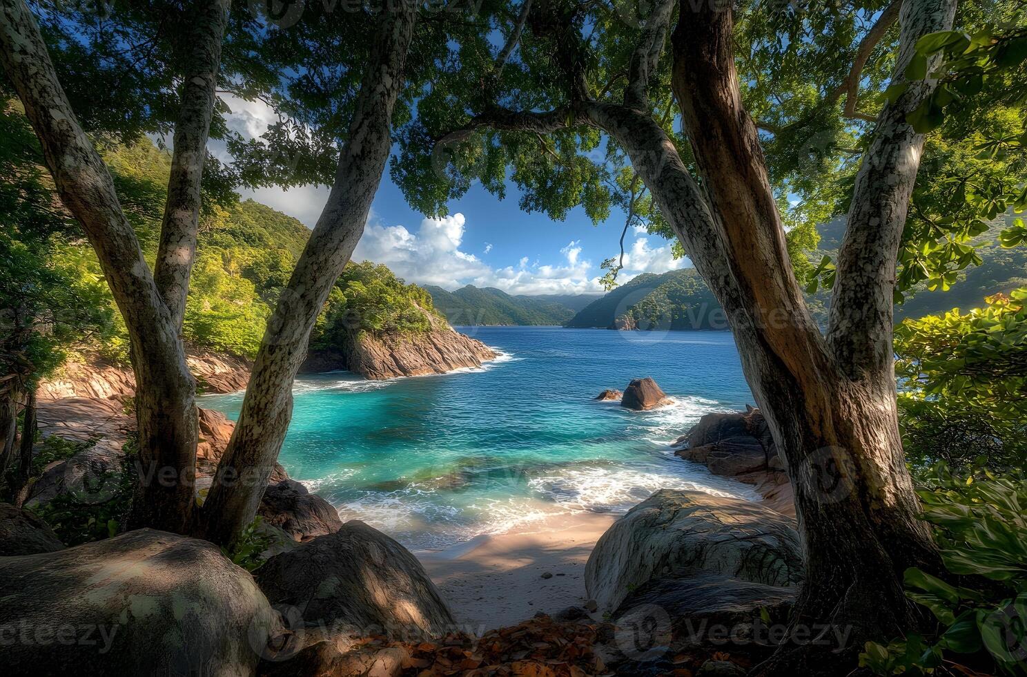 Picturesque coastal scene with lush foliage and turquoise water. photo