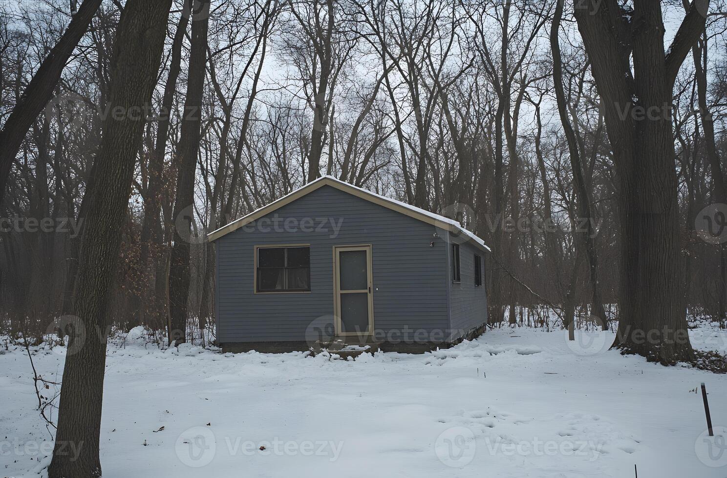 Small gray cabin nestled in a snowy forest. photo