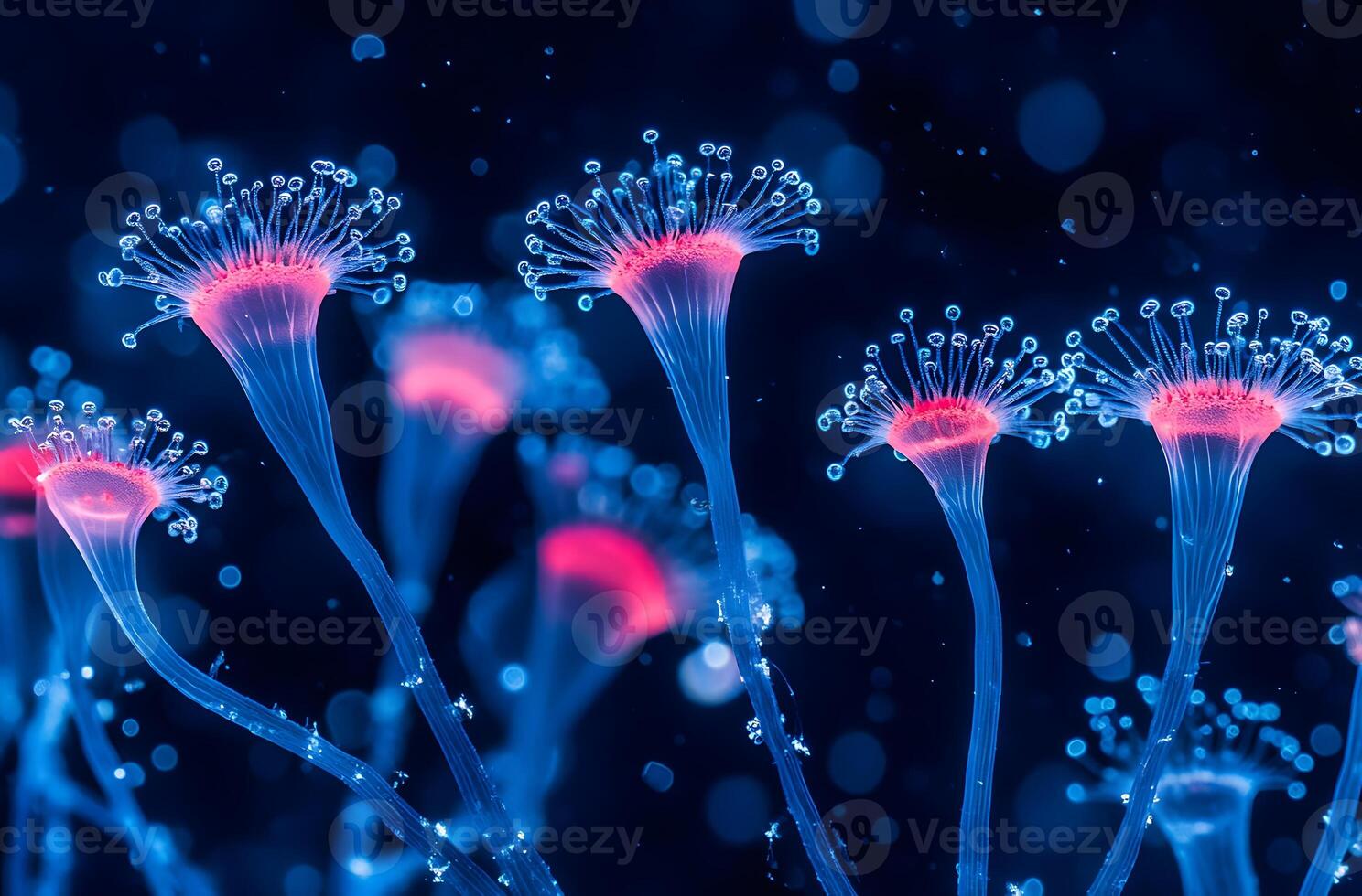 Detailed microscopic view of fungal structures illuminated with vibrant colors. photo