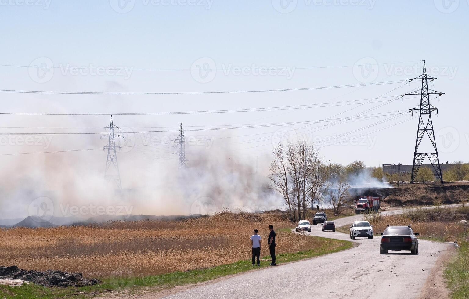 Dry grass and reeds near residential buildings. photo