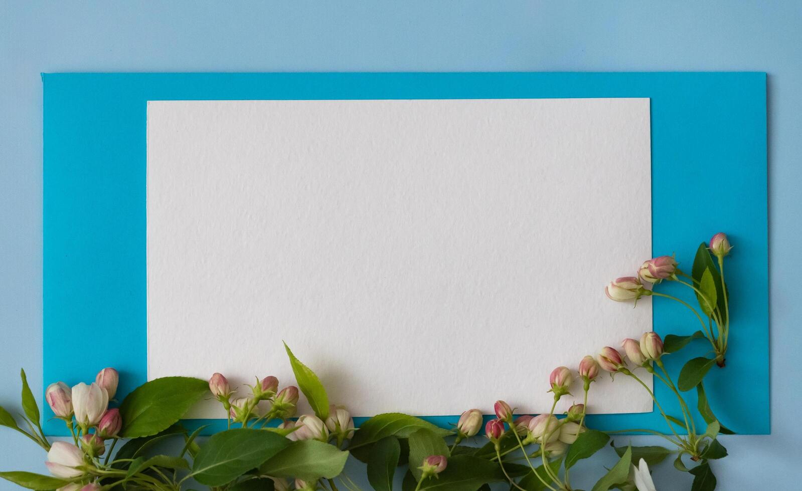 A postcard for Mother's Day, spring. Flowers composition. Frame made of dried rose flowers on white background. photo