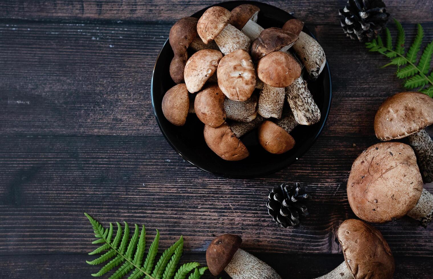 Autumn Cep Mushrooms. Spring Boletus edulis detail. Cooking delicious organic food mushroom. photo
