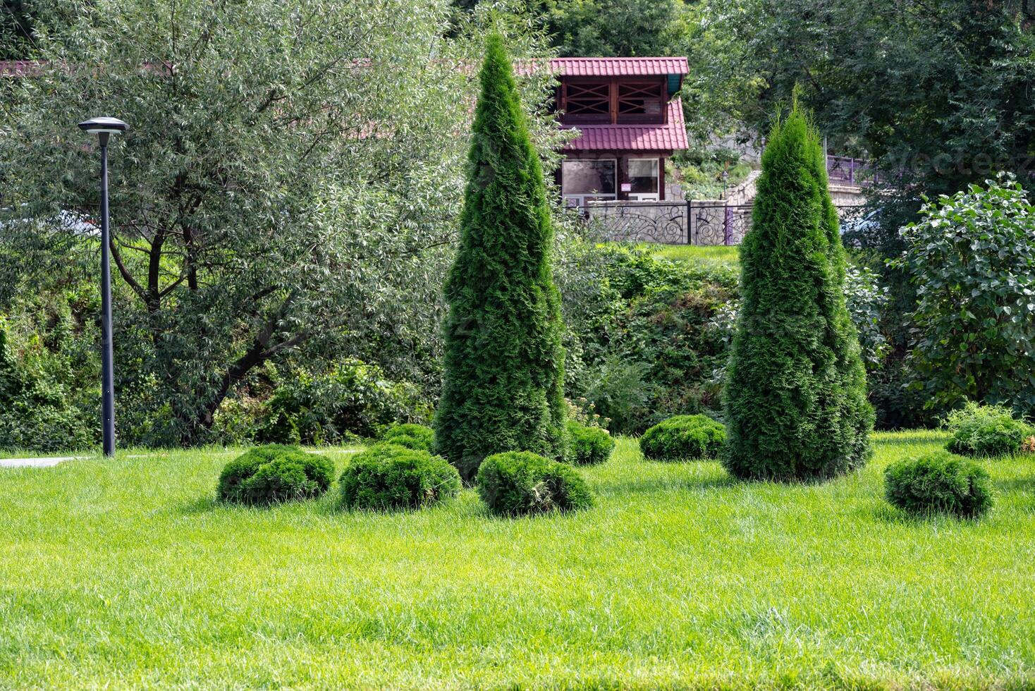 Couple sitting on a bench in a lush green park, surrounded by trees. photo