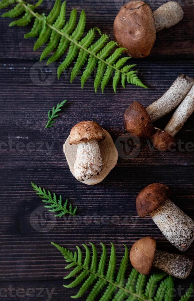 A flat lay image of brown mushrooms and green fern leaves arranged on a dark, textured wooden surface. photo