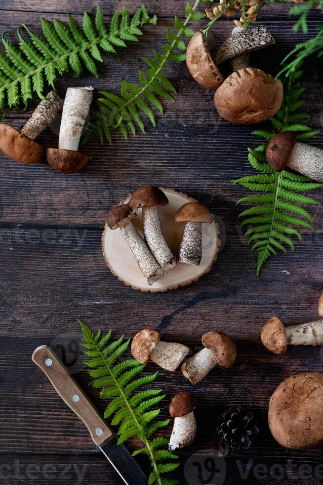Overhead shot of a rustic arrangement featuring several brown-capped mushrooms and vibrant green fern leaves on a dark wooden backdrop. photo
