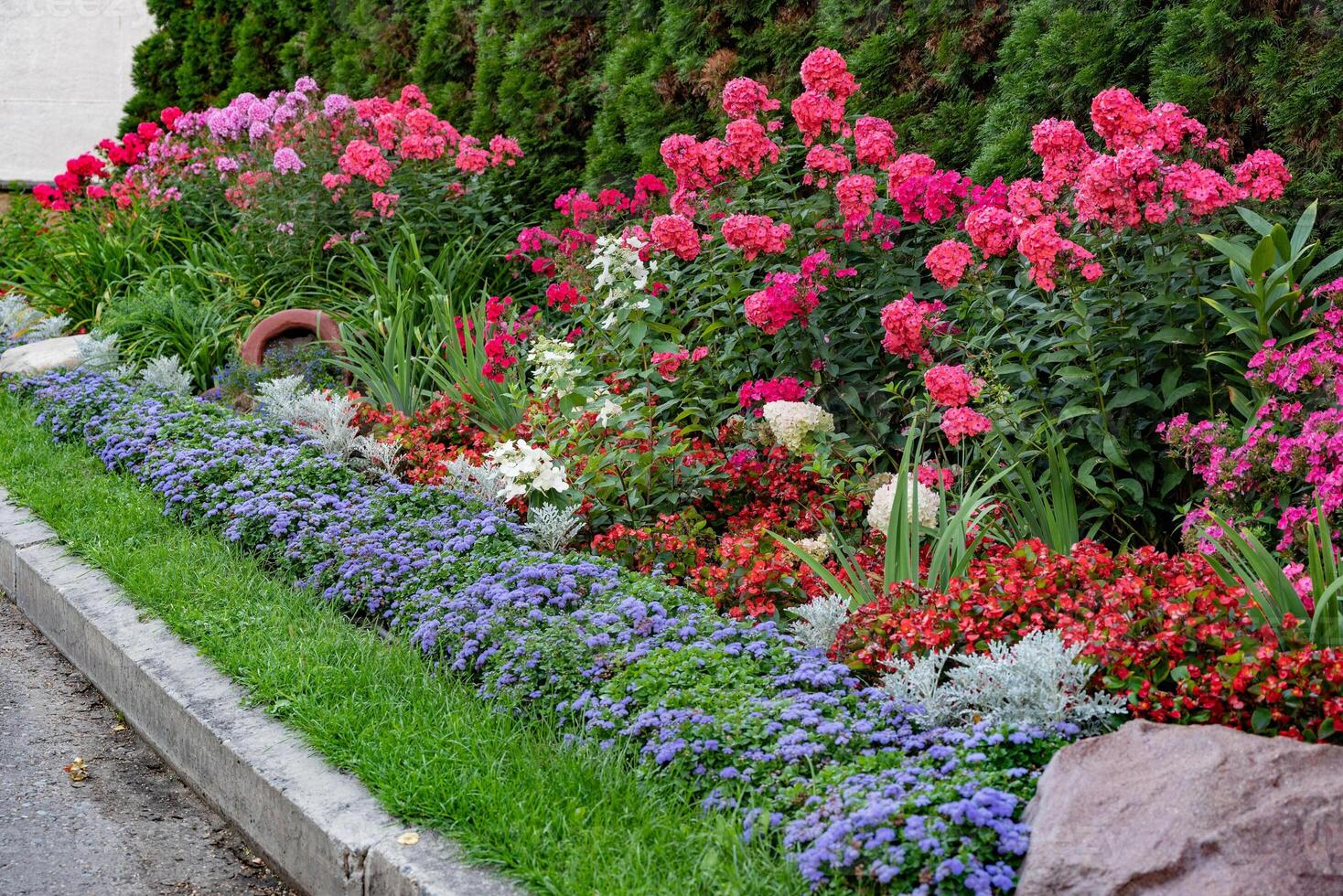 The scene is a peaceful garden view with well-trimmed grass and blooming hydrangeas in various shades of white and pink. photo