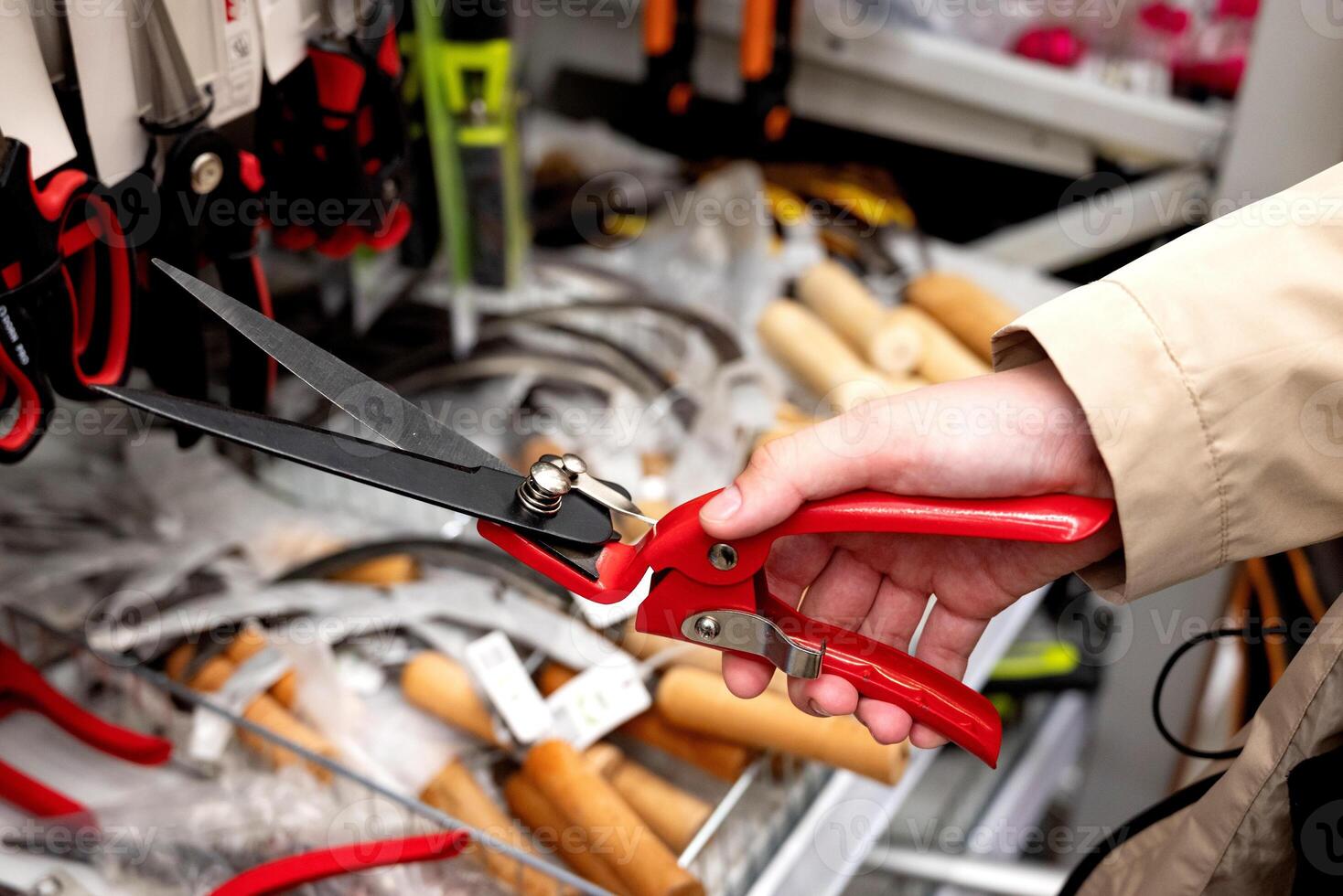a customer chooses a garden shears for himself in a garden supply store. photo