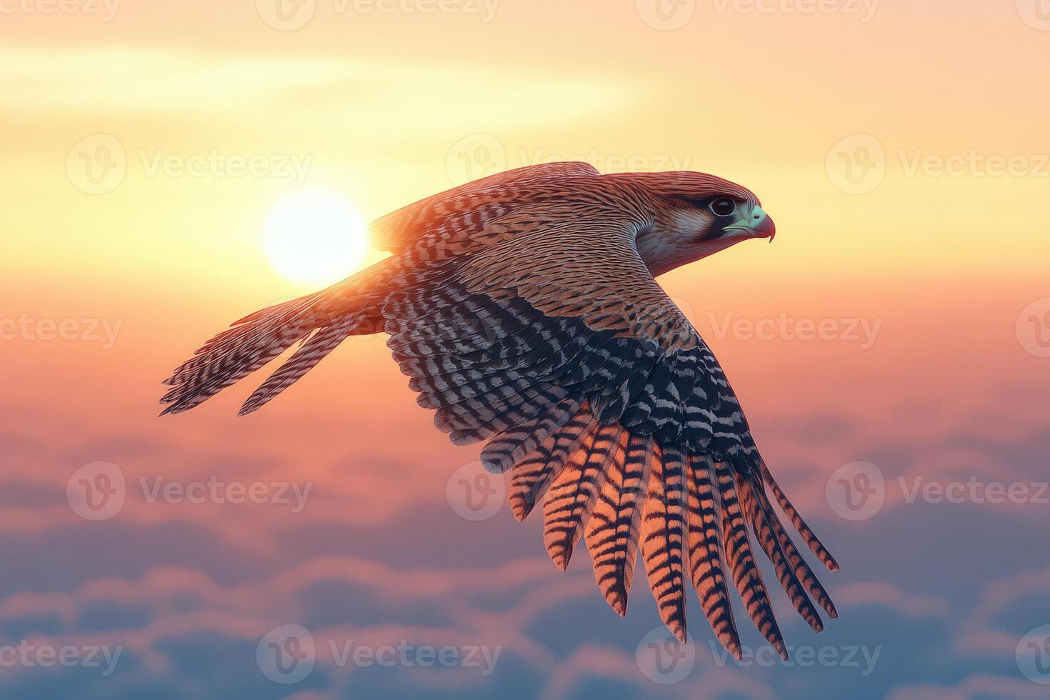 Majestic falcon soaring above colorful clouds at sunrise. photo