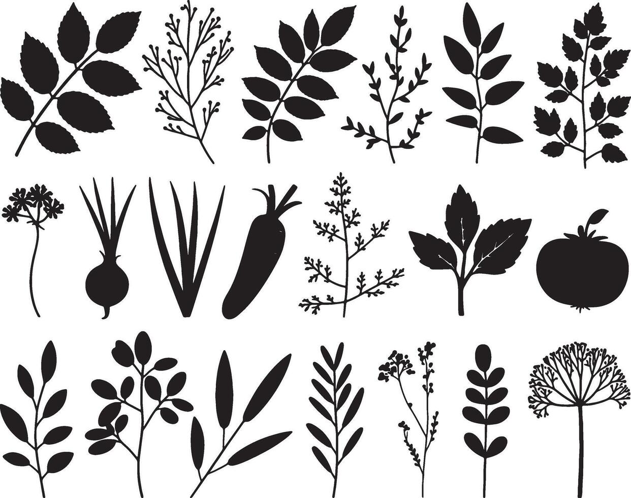 herb and vegetable silhouettes set vector