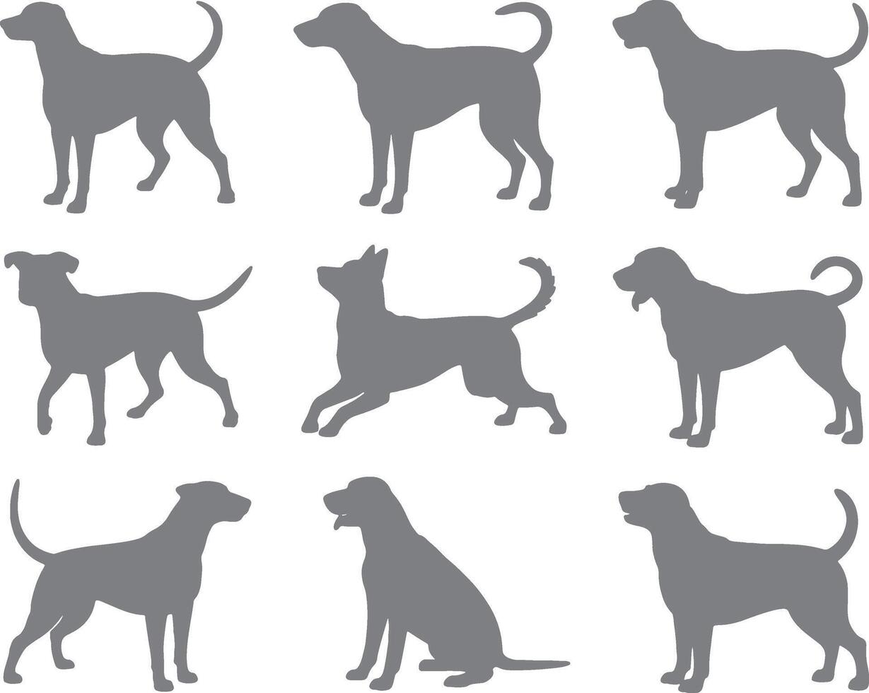 dog silhouettes set of different breeds of dogs vector