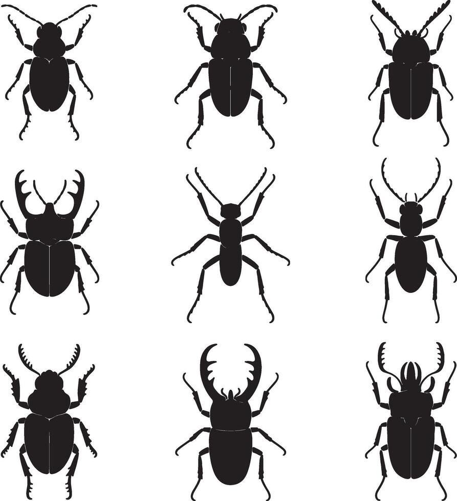 Collection of nine black beetle silhouettes vector