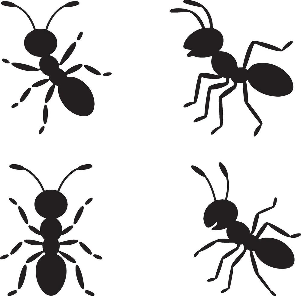 Four black ant silhouettes isolated on white vector
