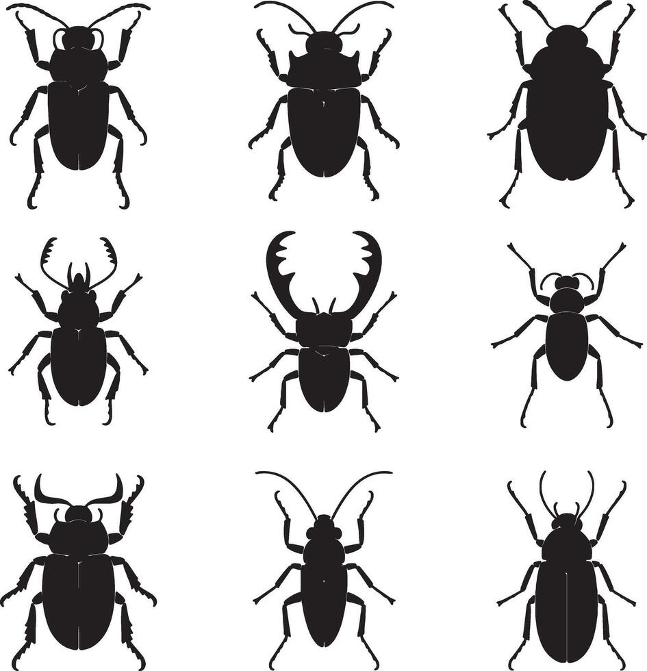 illustration of different types of beetles vector