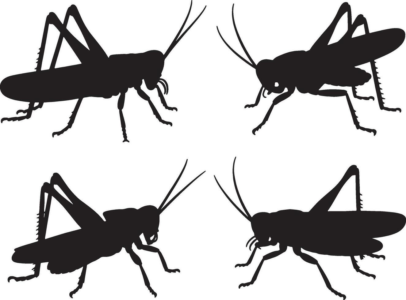 Four grasshopper silhouettes different poses vector
