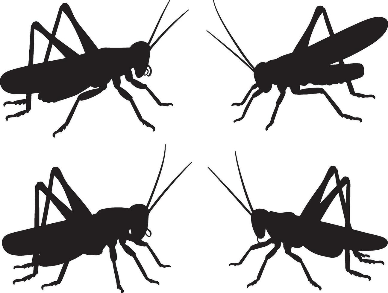 grasshopper silhouettes black and white insects vector