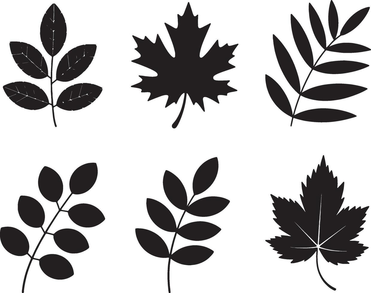 Six black silhouettes of different leaves vector