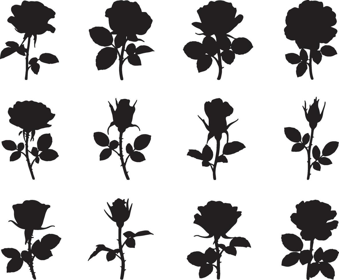 Best Twelve silhouettes of roses in various stages of bloom vector