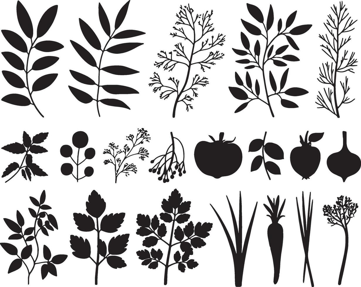 Black silhouettes of herbs vegetables botanicals vector