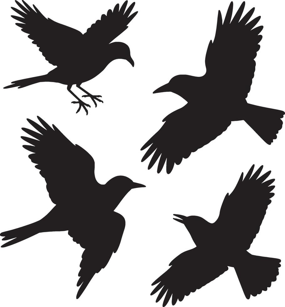 Four black bird silhouettes flying free vector