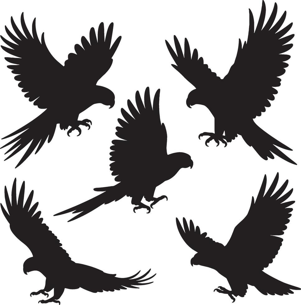 black silhouettes of parrots on white background vector