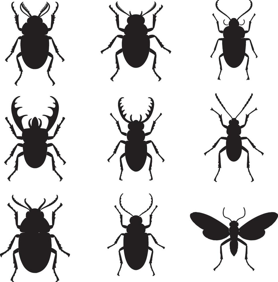 Nine black beetle silhouettes insect icons set vector