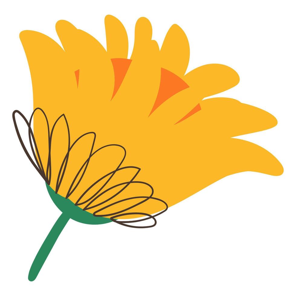 Doodle Yellow Flower with Simple Brush Line Decorations. Minimal plant with cute line sketches of branches isolated on white background. Nature herb perfect for invitations, cards, posters, holidays vector