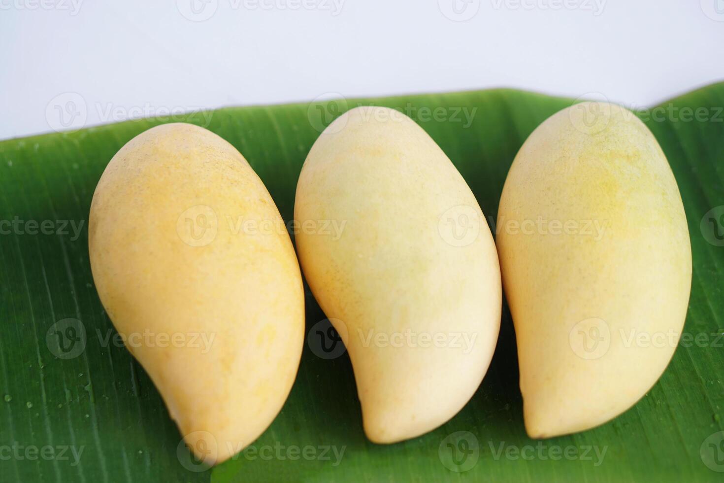 Three ripe Nam Dok Mai mangoes arranged neatly on fresh green banana leaves, showcasing the golden-yellow color and smooth skin. A classic Thai tropical fruit presentation. photo