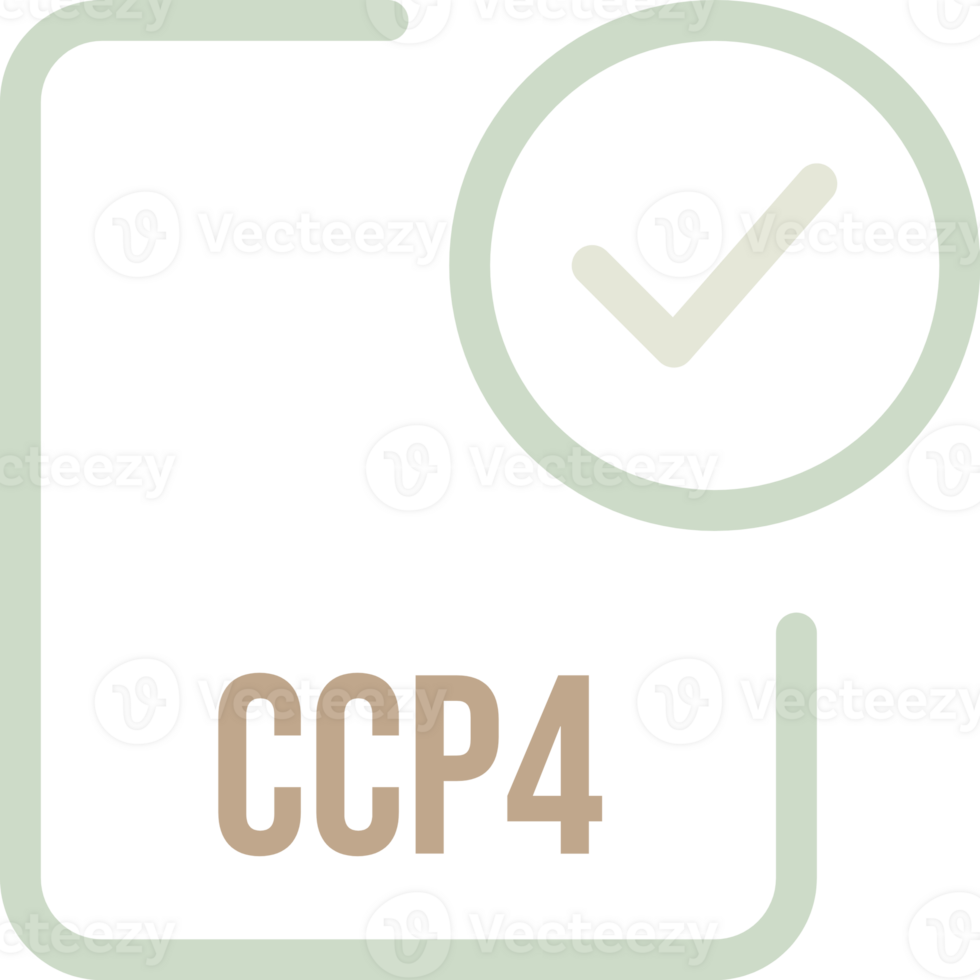 Ccp4 File Icon With Checked Mark png