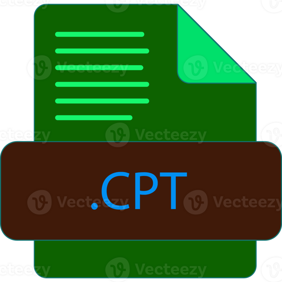 Cpt File Extention Icon Old Minimal Color Fill png