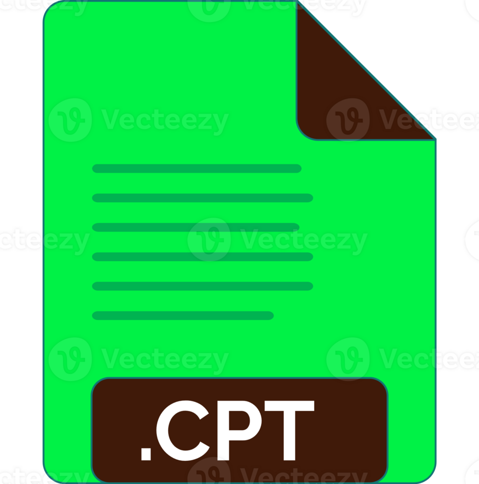 Cpt File Icon Minimal Fill png