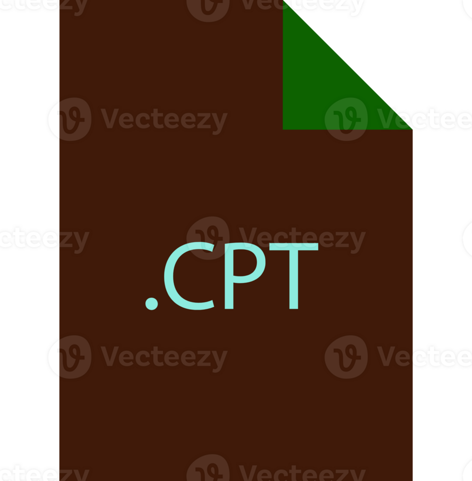 Cpt File Icon Fill Crisp Corners V1 png