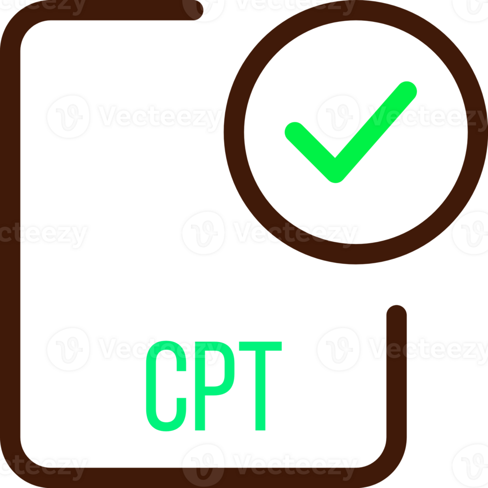 Cpt File Icon With Checked Mark png