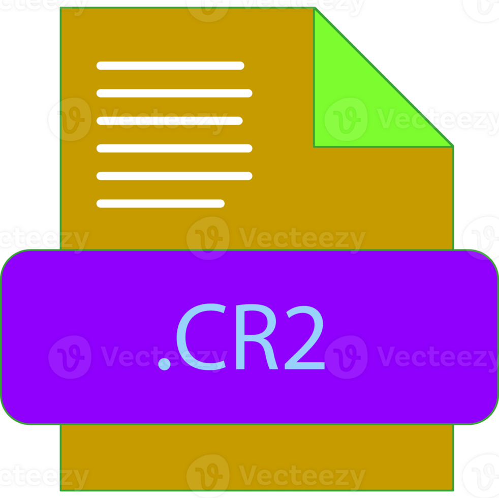 Cr2 File Extension Icon Insidse Fill With Lines Fill png