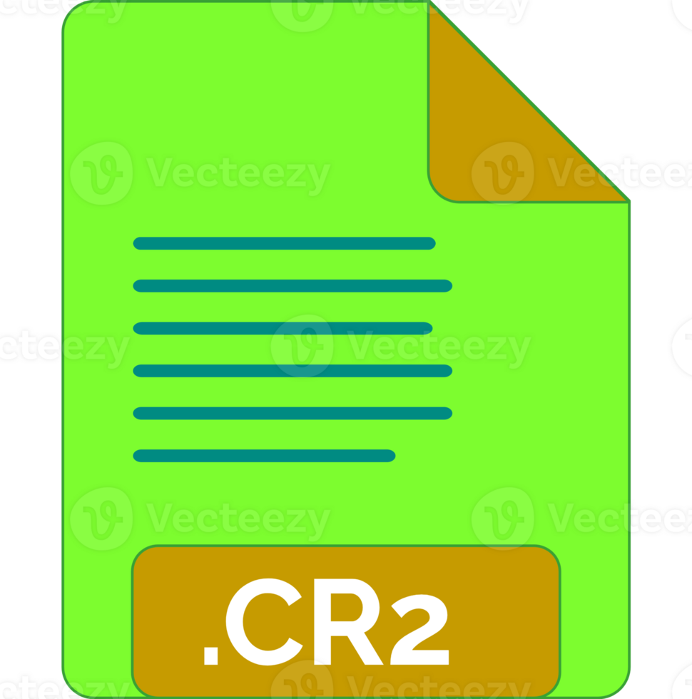 Cr2 File Extension Icon Minimal Colro Fill png