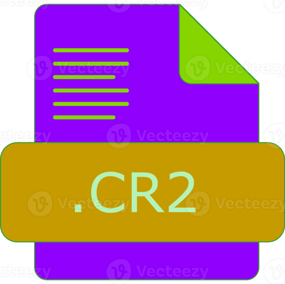Cr2 File Extension Icon Fill With Minimal Colors png