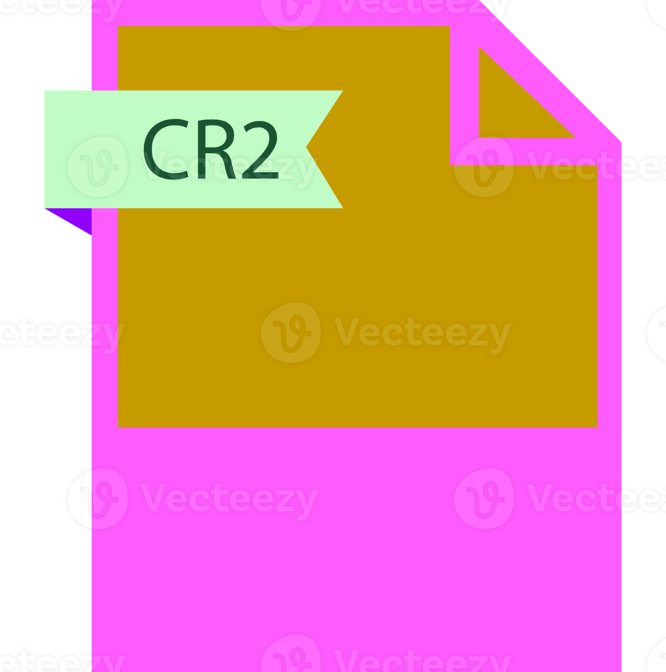 Cr2 File Format Icon Roe Color Fill png