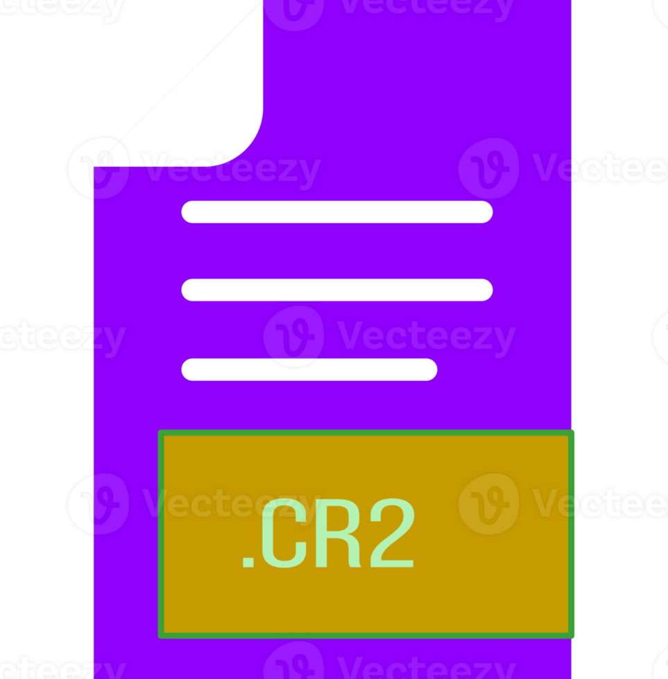 Cr2 File Format Icon Outline And Fill png
