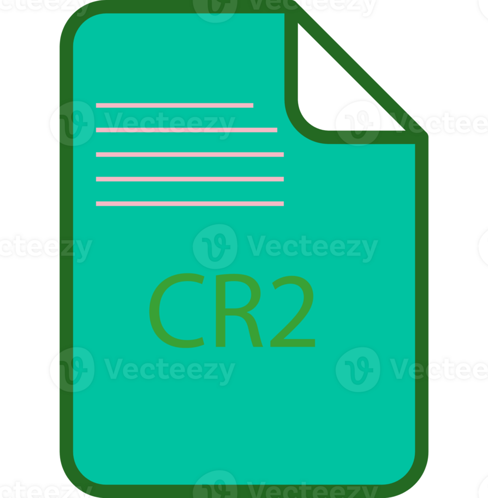 Cr2 File Icon Fill And Outline Rounded Corners png