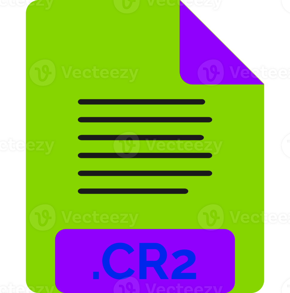 Cr2 File Icon Minimal Fill png