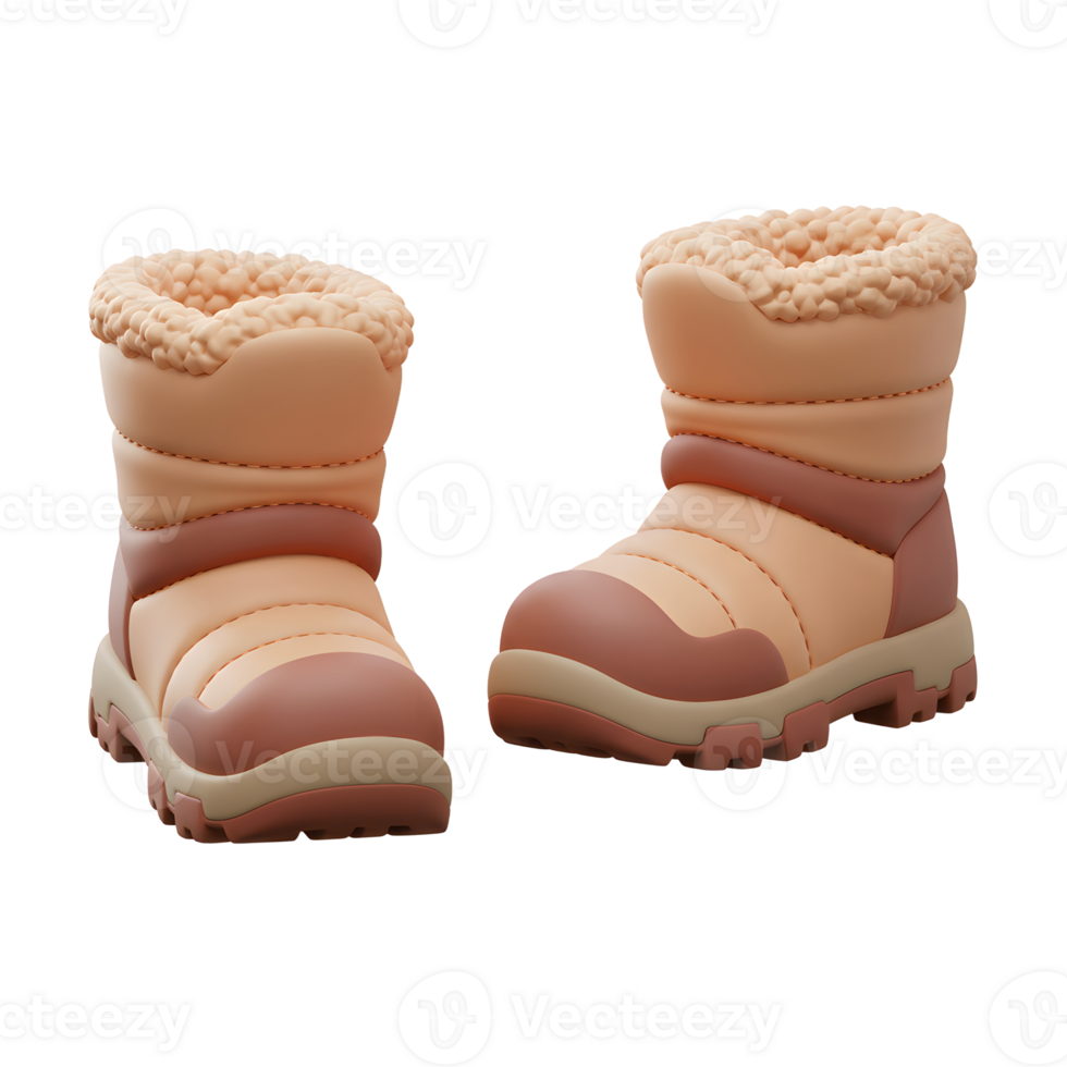 A pair of winter boots are displayed, suggesting warmth and style for cold weather wear. png