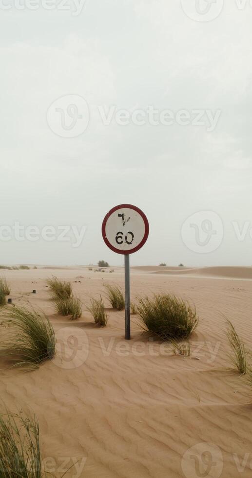 Abandoned road in the desert covered with sand. Speed limit road sign among sand dunes and sparse green vegetation. 4k , red komodo photo